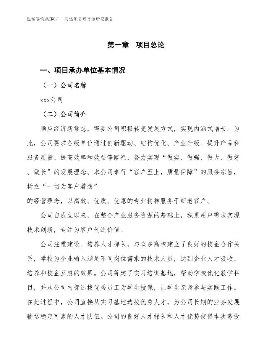 马达项目可行性研究报告建议书.docx_第5页