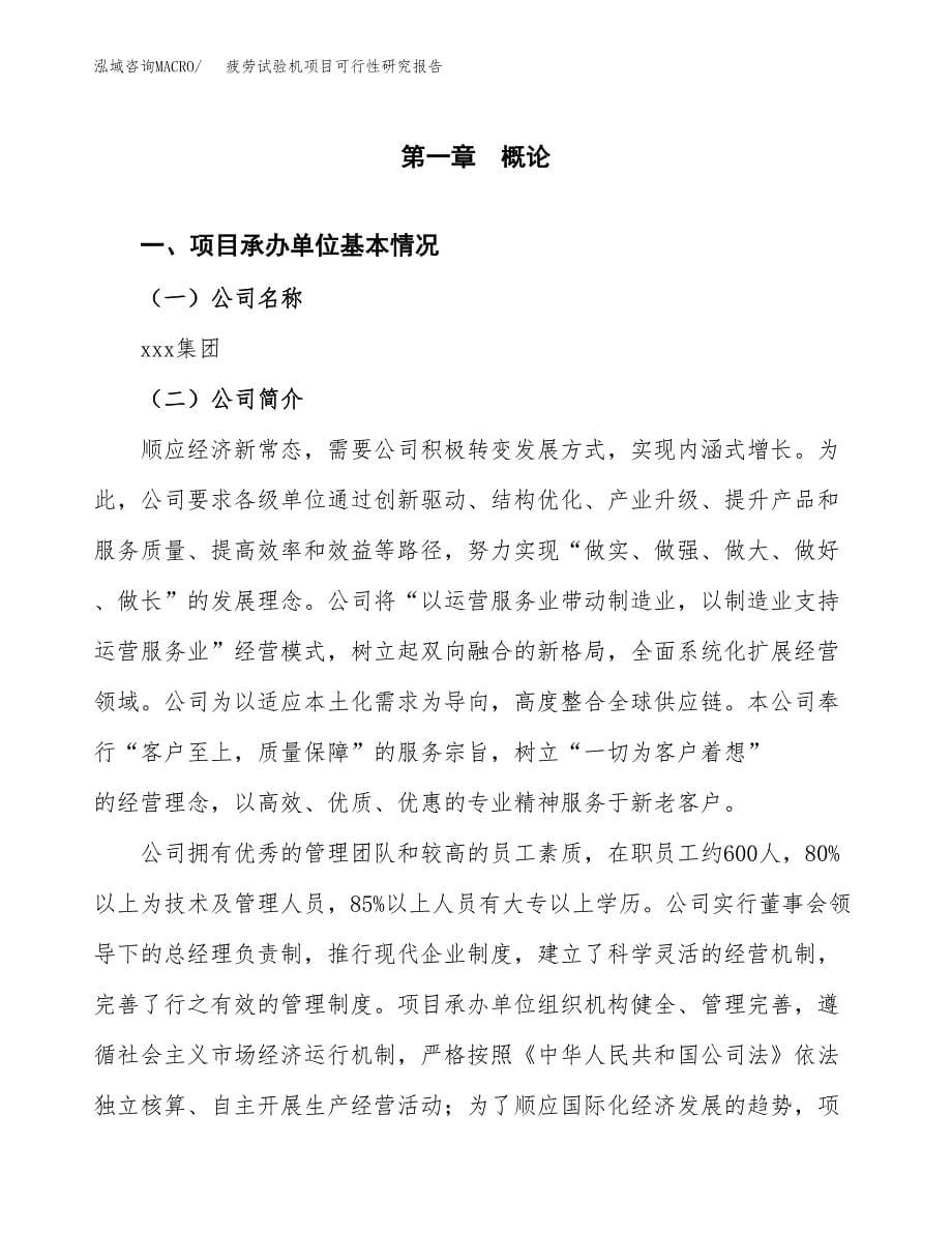 疲劳试验机项目可行性研究报告建议书.docx_第5页