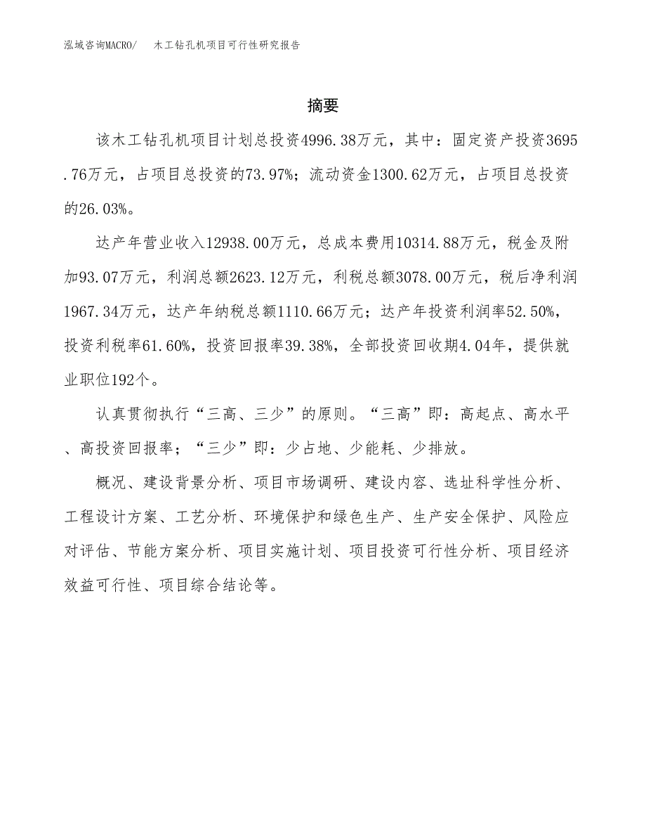 木工钻孔机项目可行性研究报告建议书.docx_第2页