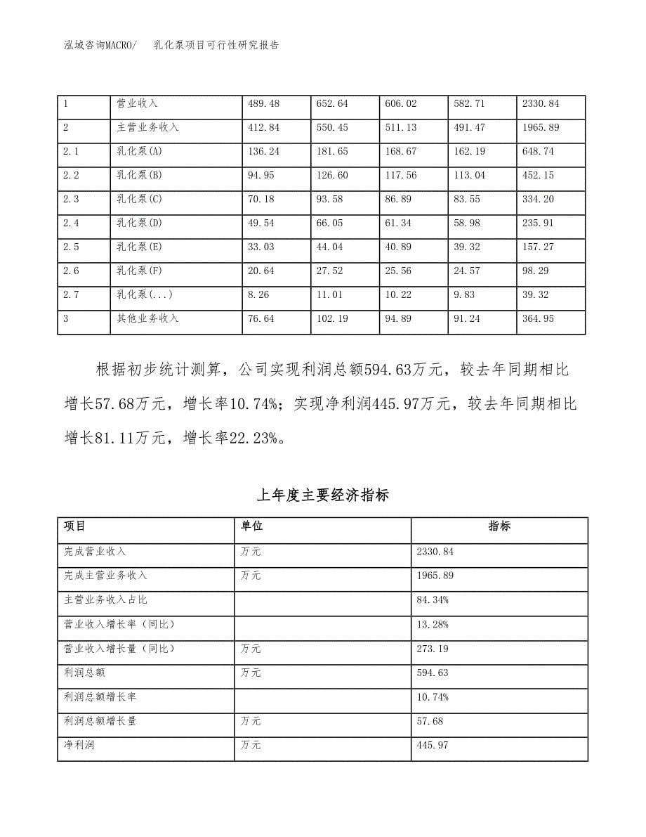 乳化泵项目可行性研究报告建议书.docx_第5页