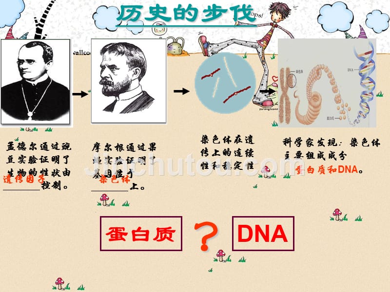 人教版必修二DNA是主要遗传物质_第2页