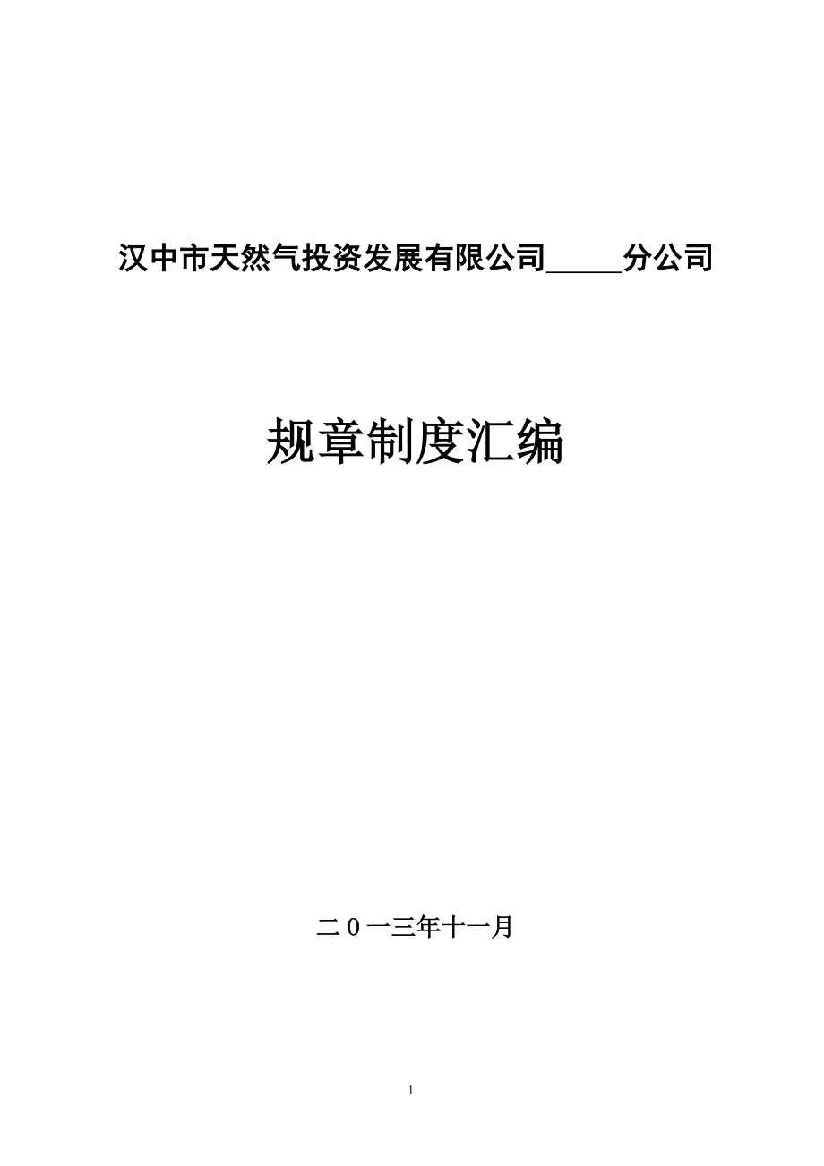 （管理制度）5、分公司规章制度_第1页