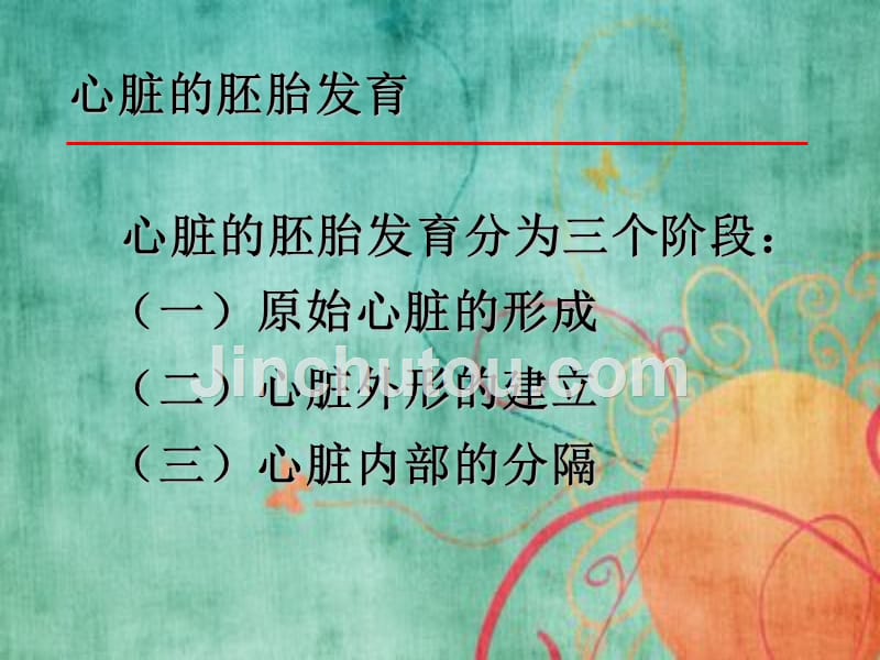 胎儿心脏解剖特点和类型_第3页