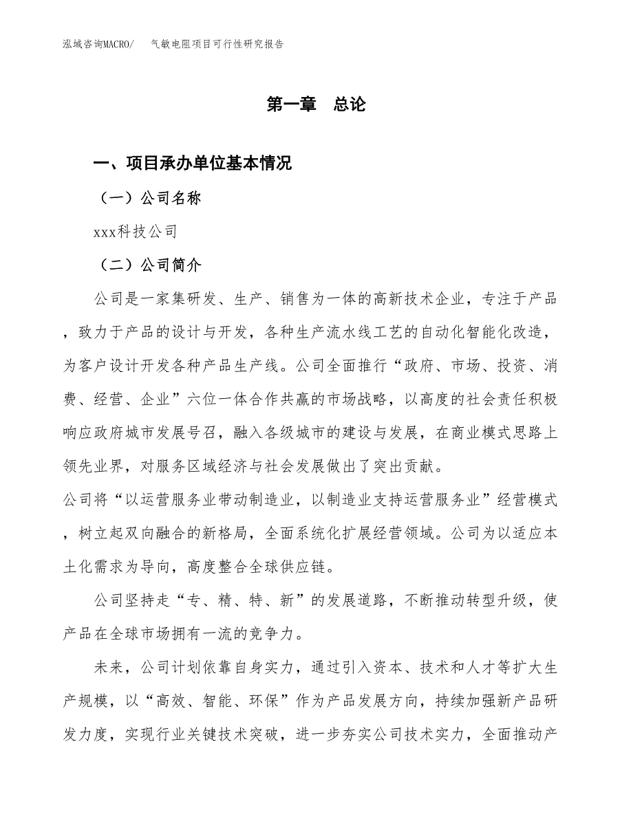 气敏电阻项目可行性研究报告建议书.docx_第4页