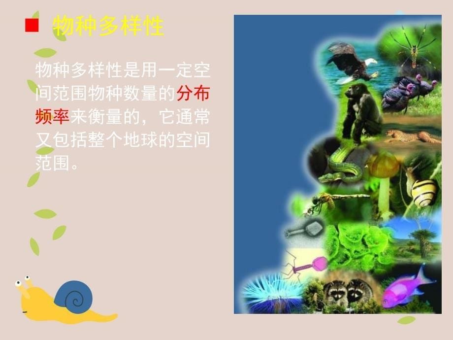 生物的多样性和分类代表作用_第5页