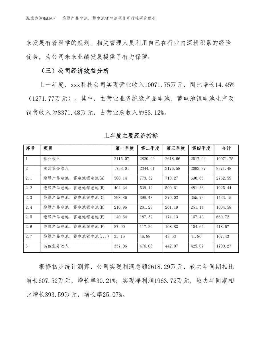 绝缘产品电池、蓄电池锂电池项目可行性研究报告建议书.docx_第5页