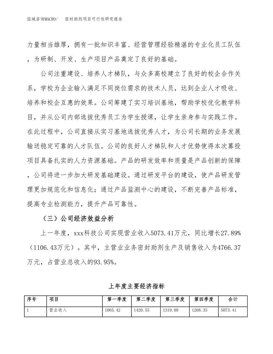 密封助剂项目可行性研究报告建议书.docx_第5页