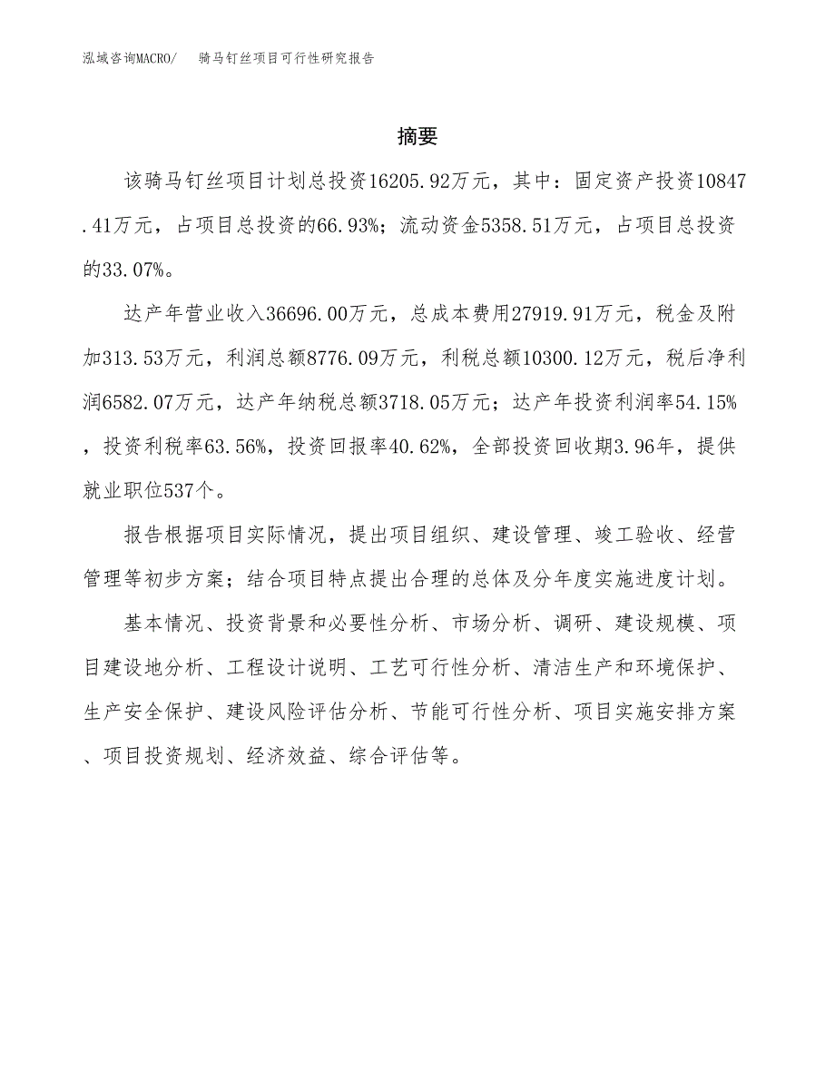 骑马钉丝项目可行性研究报告建议书.docx_第2页