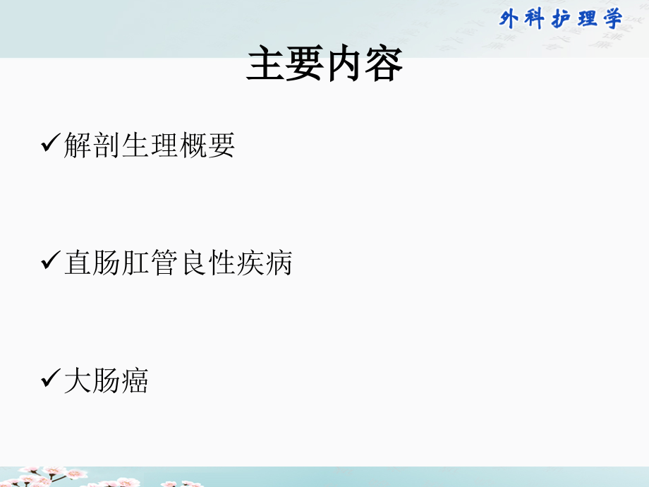 外科护理学第二十九章-结、直肠和肛管疾病病人的护理_第4页