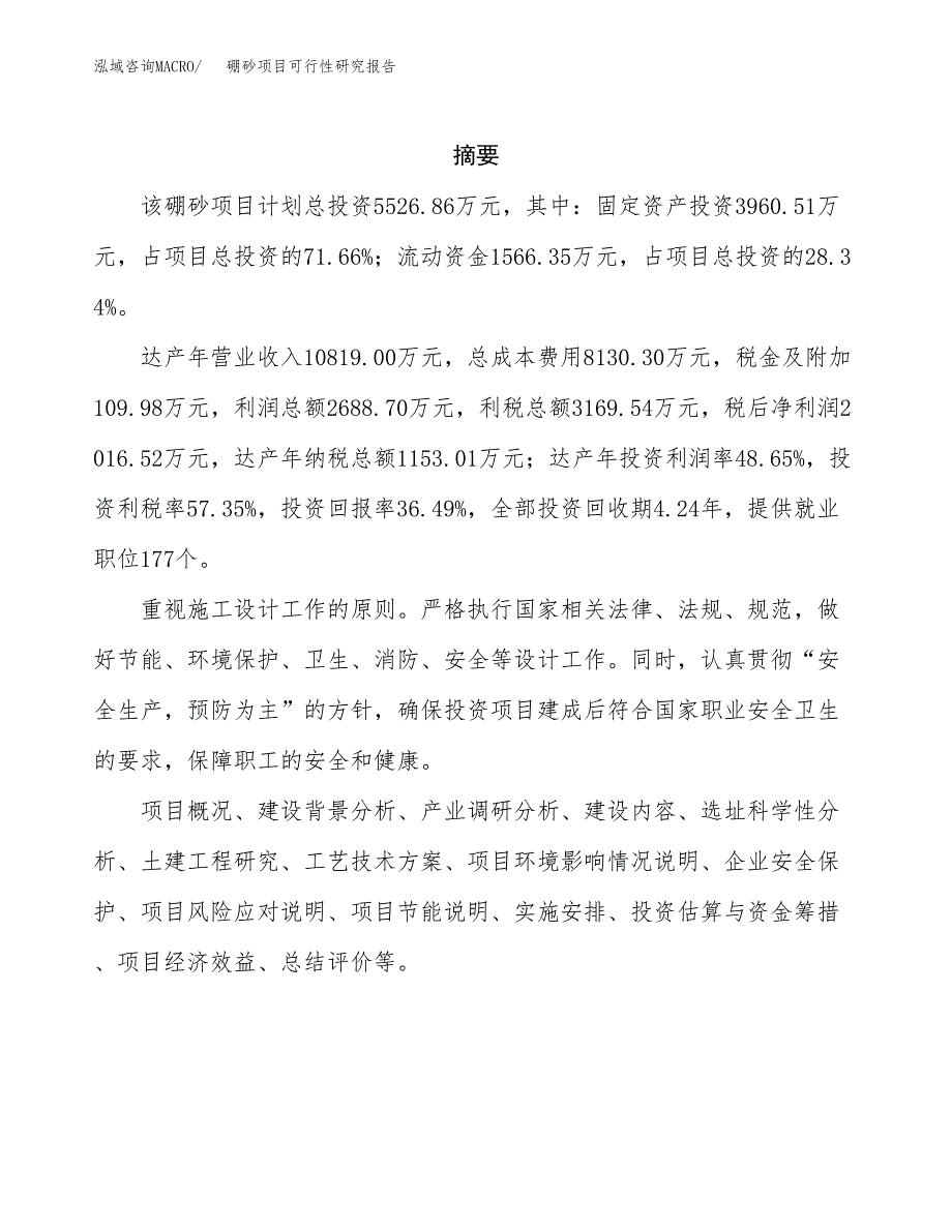 硼砂项目可行性研究报告建议书.docx_第2页