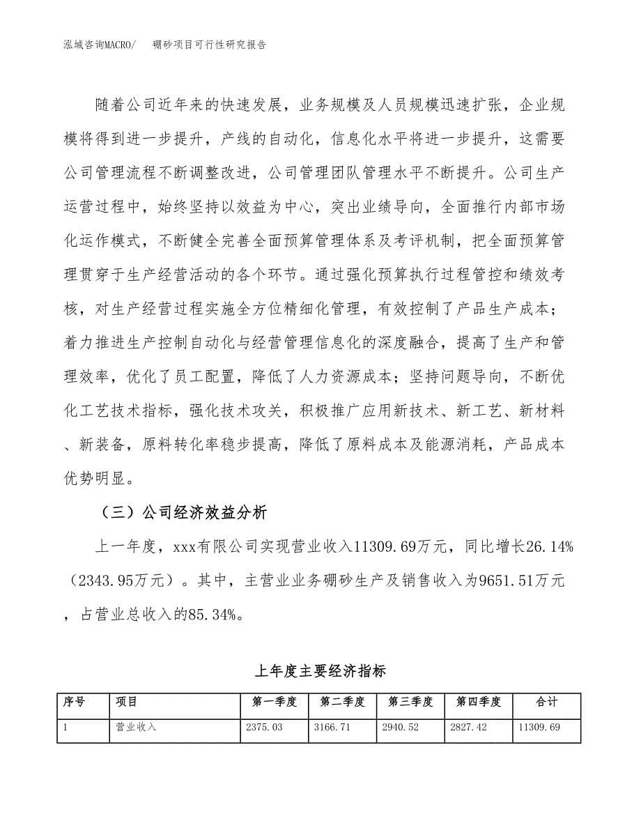 硼砂项目可行性研究报告建议书.docx_第5页