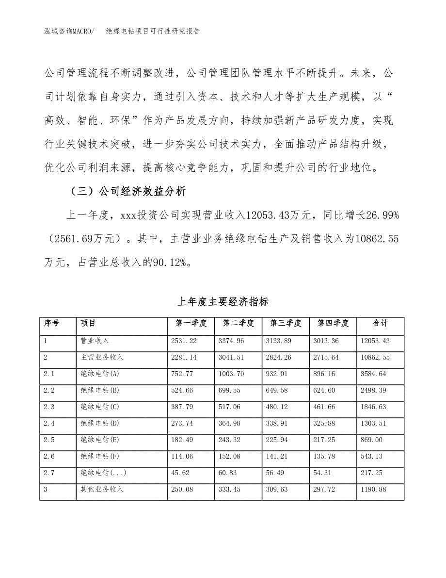 绝缘电钻项目可行性研究报告建议书.docx_第5页