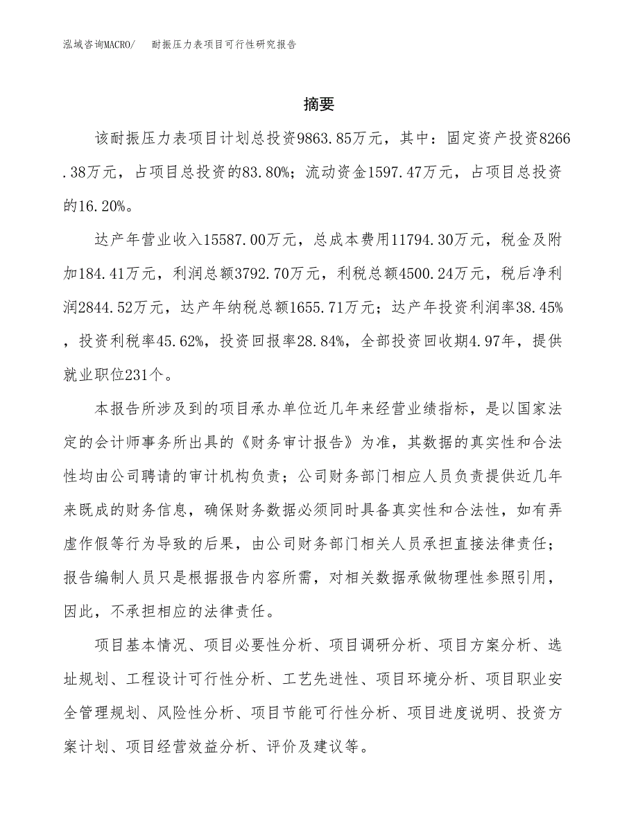 耐振压力表项目可行性研究报告建议书.docx_第2页