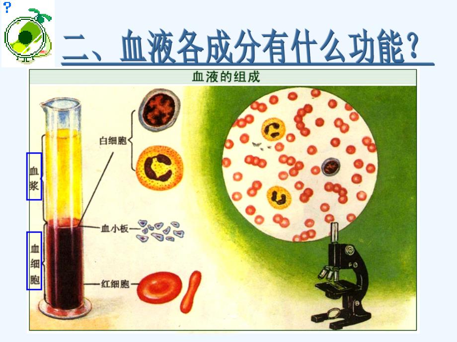 公开课流动的组织——血液(人教版)_第3页