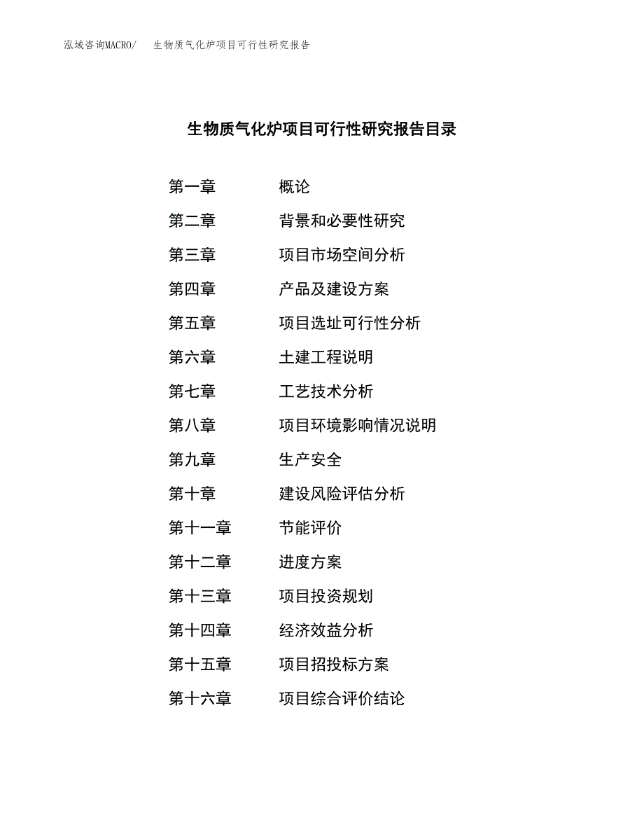 生物质气化炉项目可行性研究报告建议书.docx_第3页