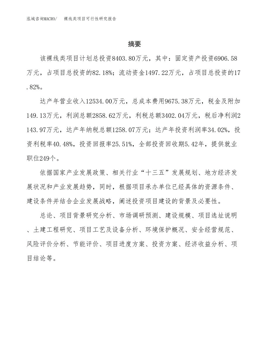 裸线类项目可行性研究报告建议书.docx_第2页