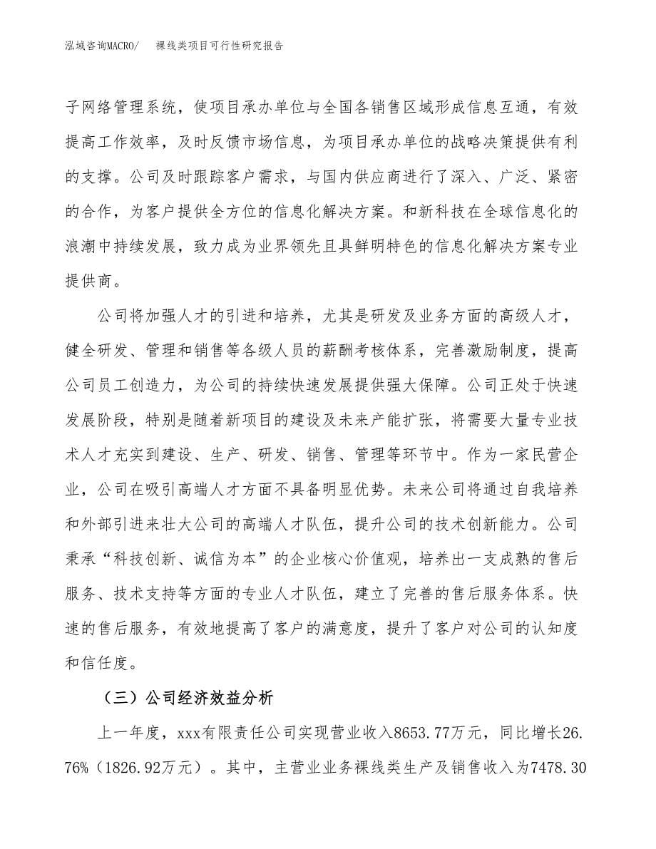 裸线类项目可行性研究报告建议书.docx_第5页