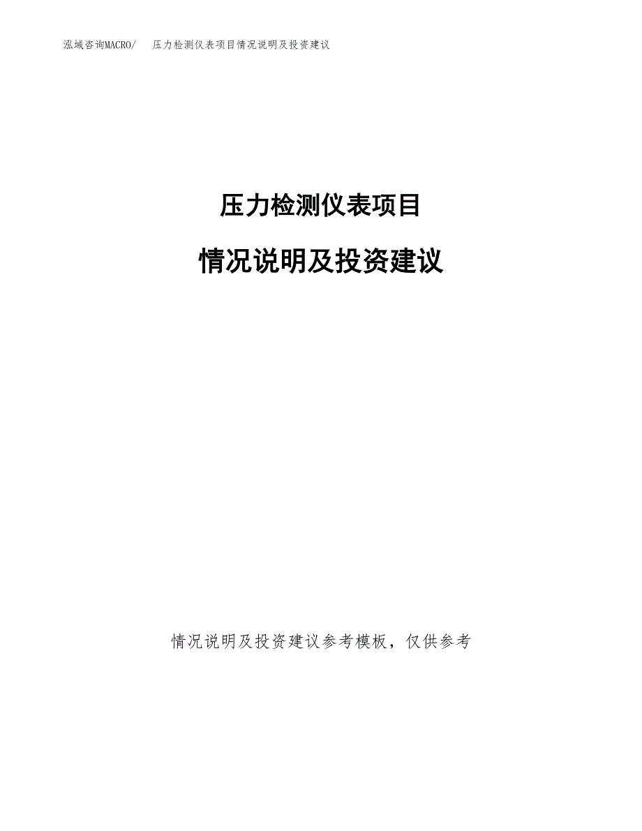 压力检测仪表项目情况说明及投资建议.docx_第1页