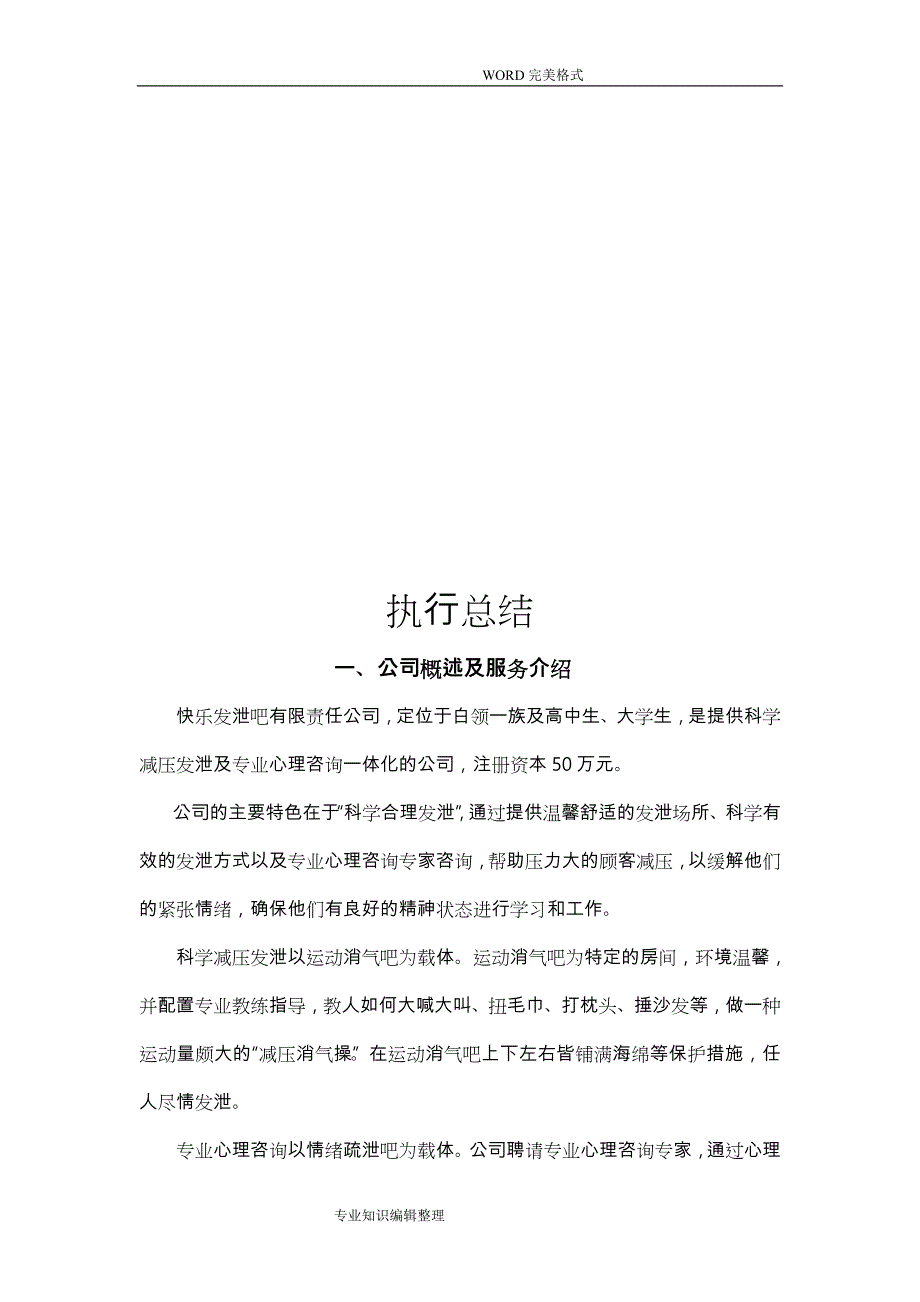 某某公司创业实施计划书模板_第4页