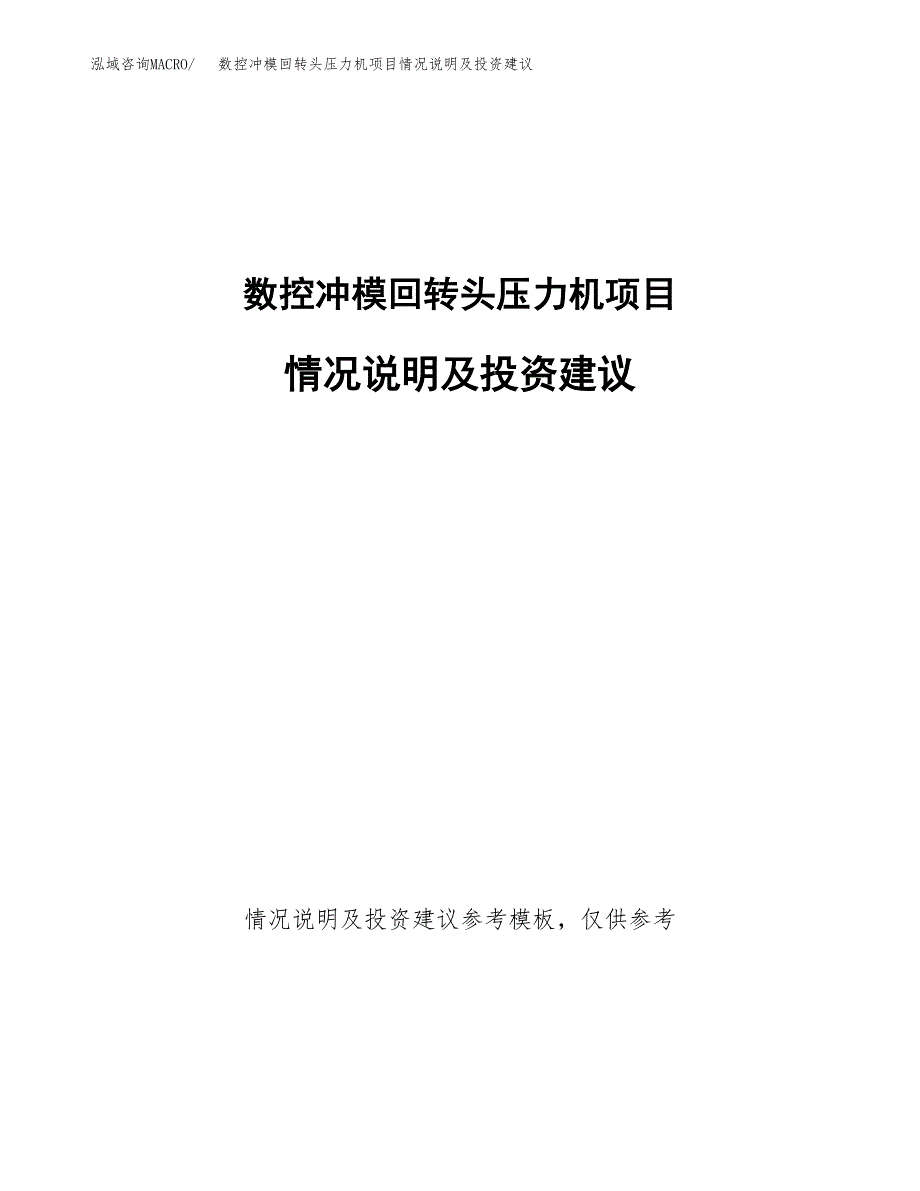 数控冲模回转头压力机项目情况说明及投资建议.docx_第1页