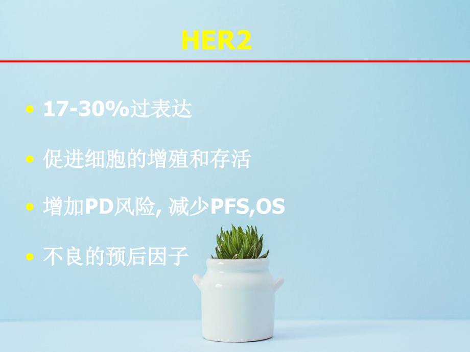 HER阳性转移性乳腺癌治疗策略方案_第4页