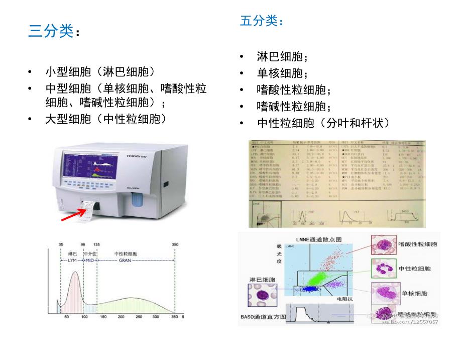 血常规与儿科临床_第3页