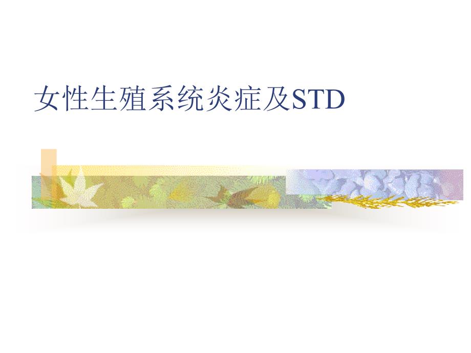 女性生殖系统炎症及STD_第1页