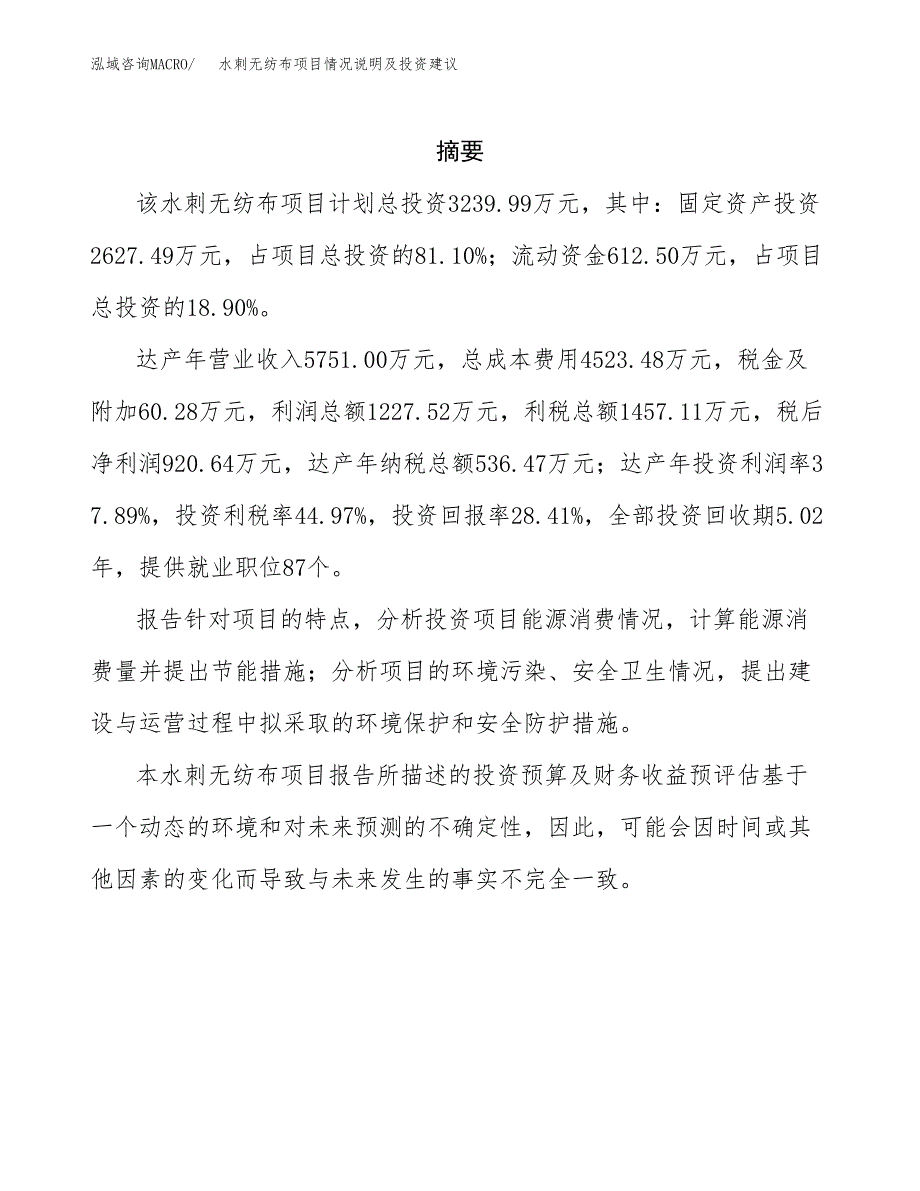 水刺无纺布项目情况说明及投资建议.docx_第2页