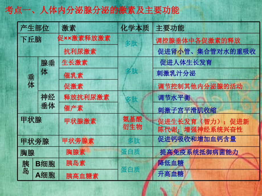 动物稳态维持生理基础_第3页