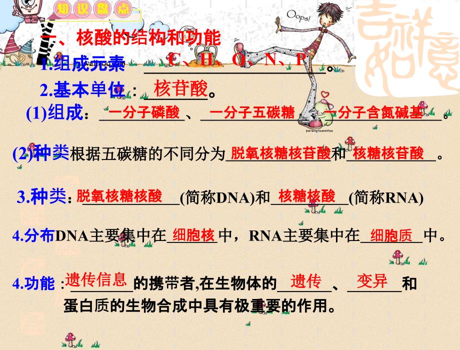 一轮复习生物遗传信息携带者——核酸细胞中糖类和脂质公开课_第2页