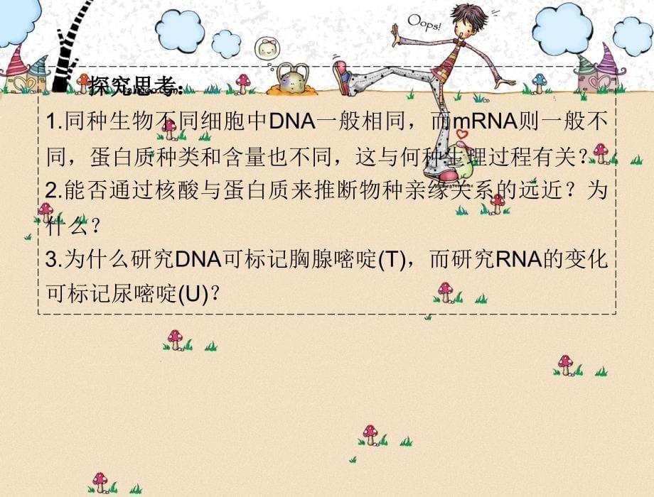 一轮复习生物遗传信息携带者——核酸细胞中糖类和脂质公开课_第5页