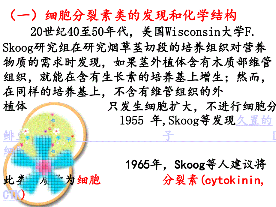 植物生长物质和细胞信号转导细胞分裂素类_第2页