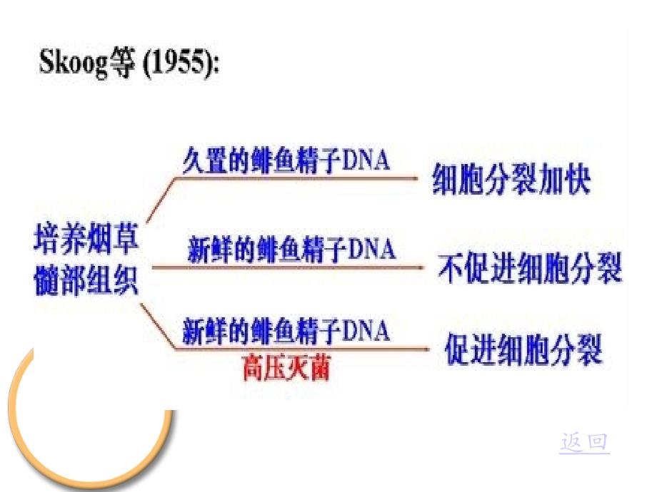 植物生长物质和细胞信号转导细胞分裂素类_第3页