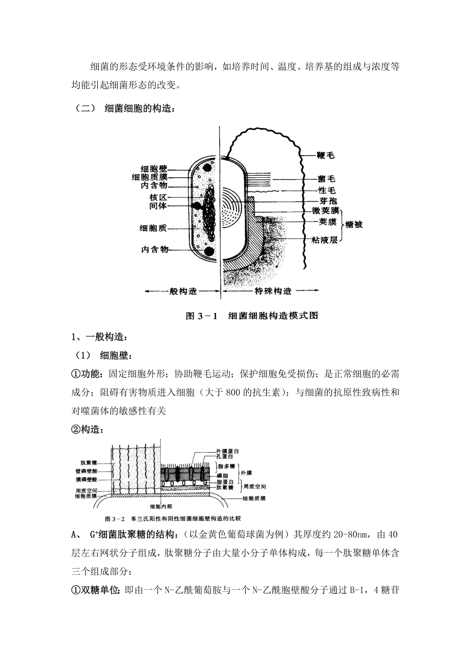 （生物科技行业）教学目的掌握微生物_第4页