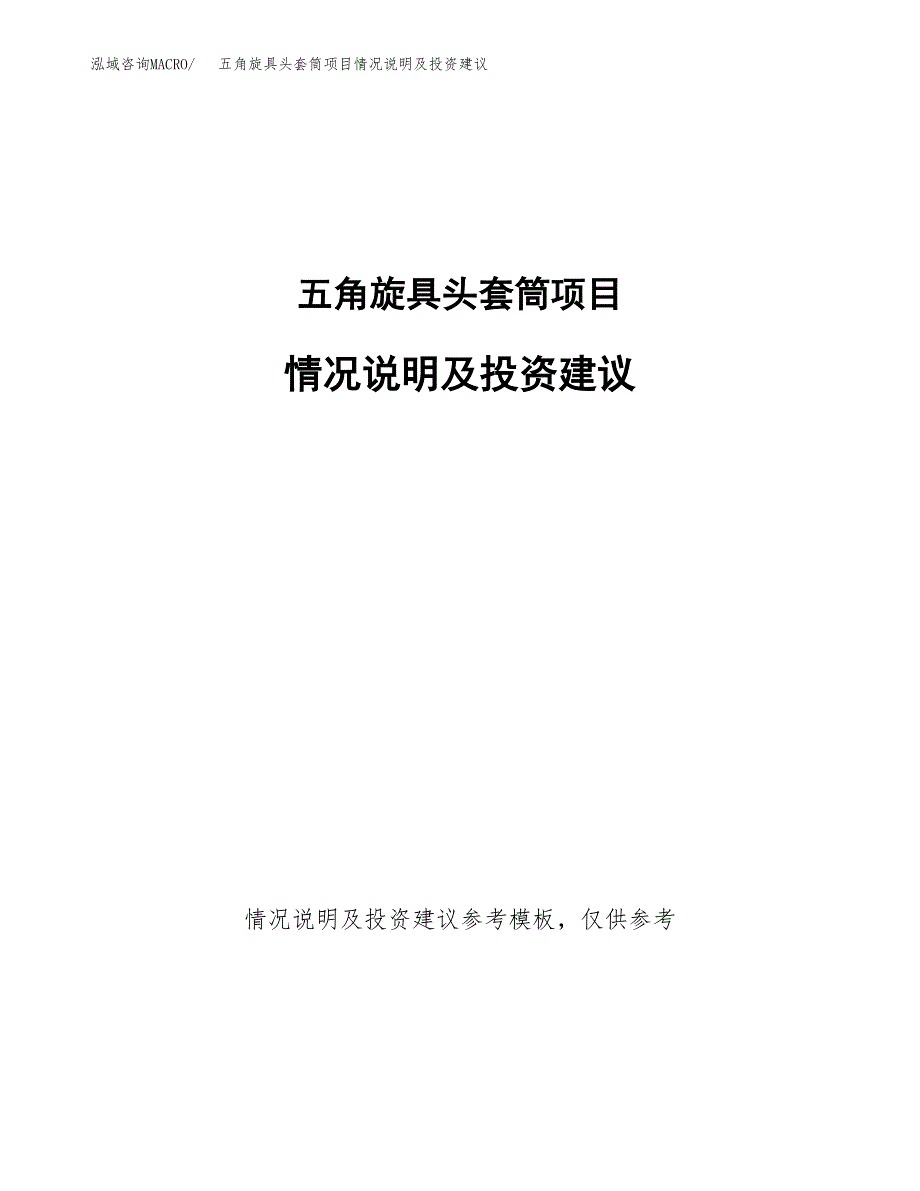 五角旋具头套筒项目情况说明及投资建议.docx_第1页