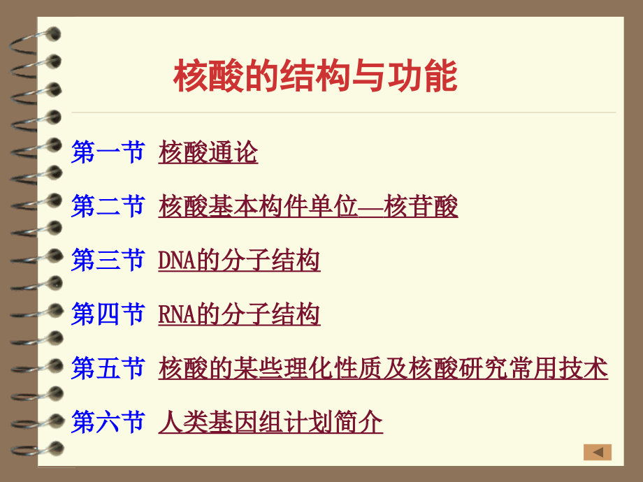 四川农业大学生物化学核酸化学_第2页