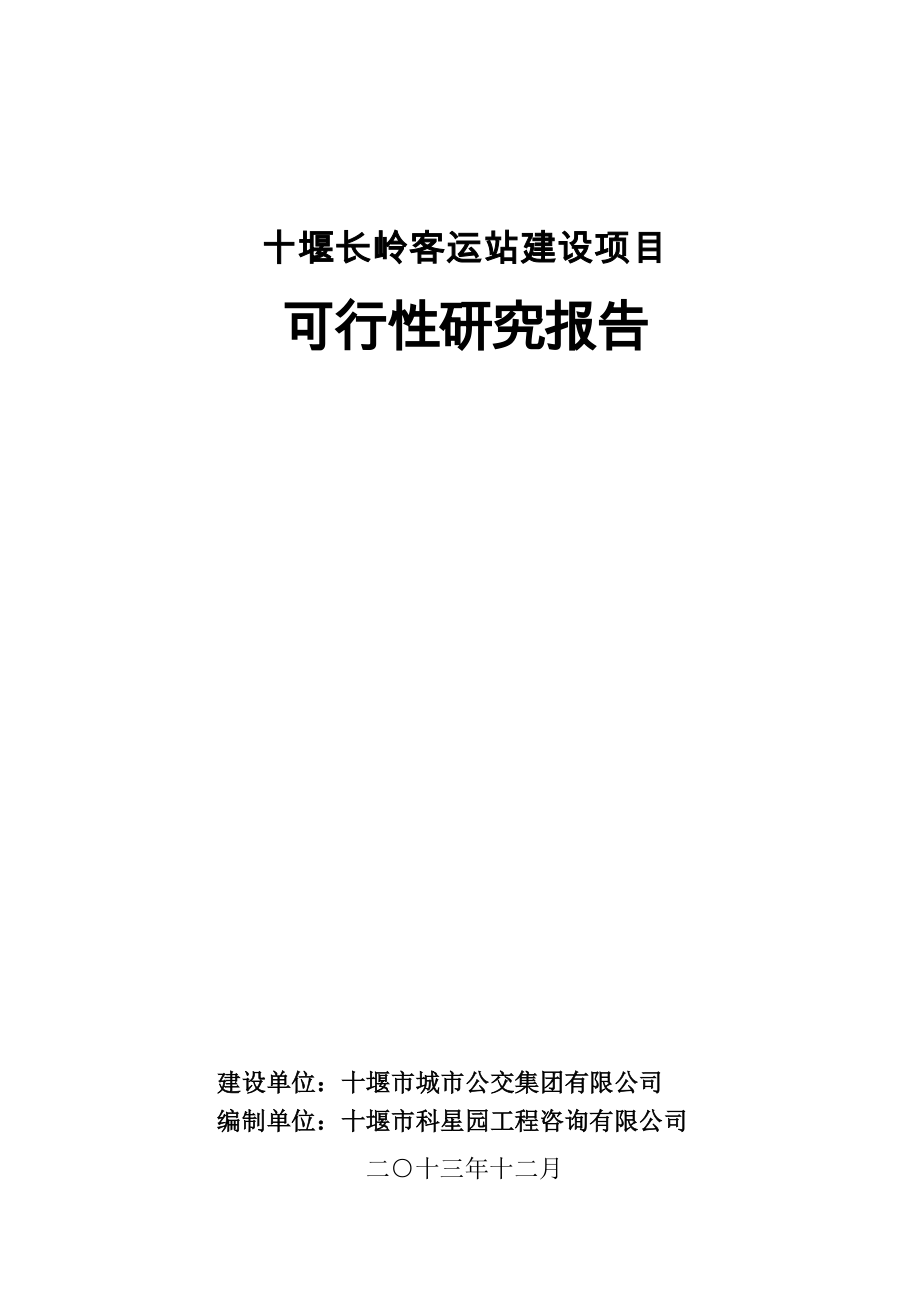 （项目管理）客运站项目可行性研究报告_第1页