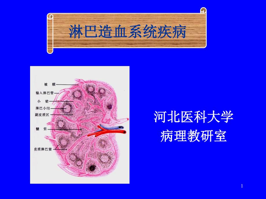 病理学第16章淋巴造血PPT_第1页