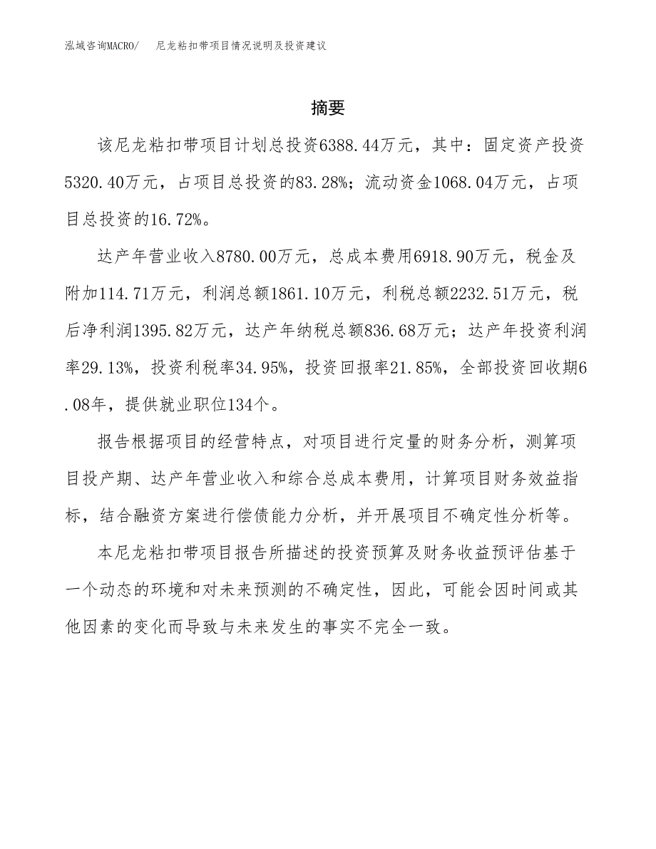 尼龙粘扣带项目情况说明及投资建议.docx_第2页