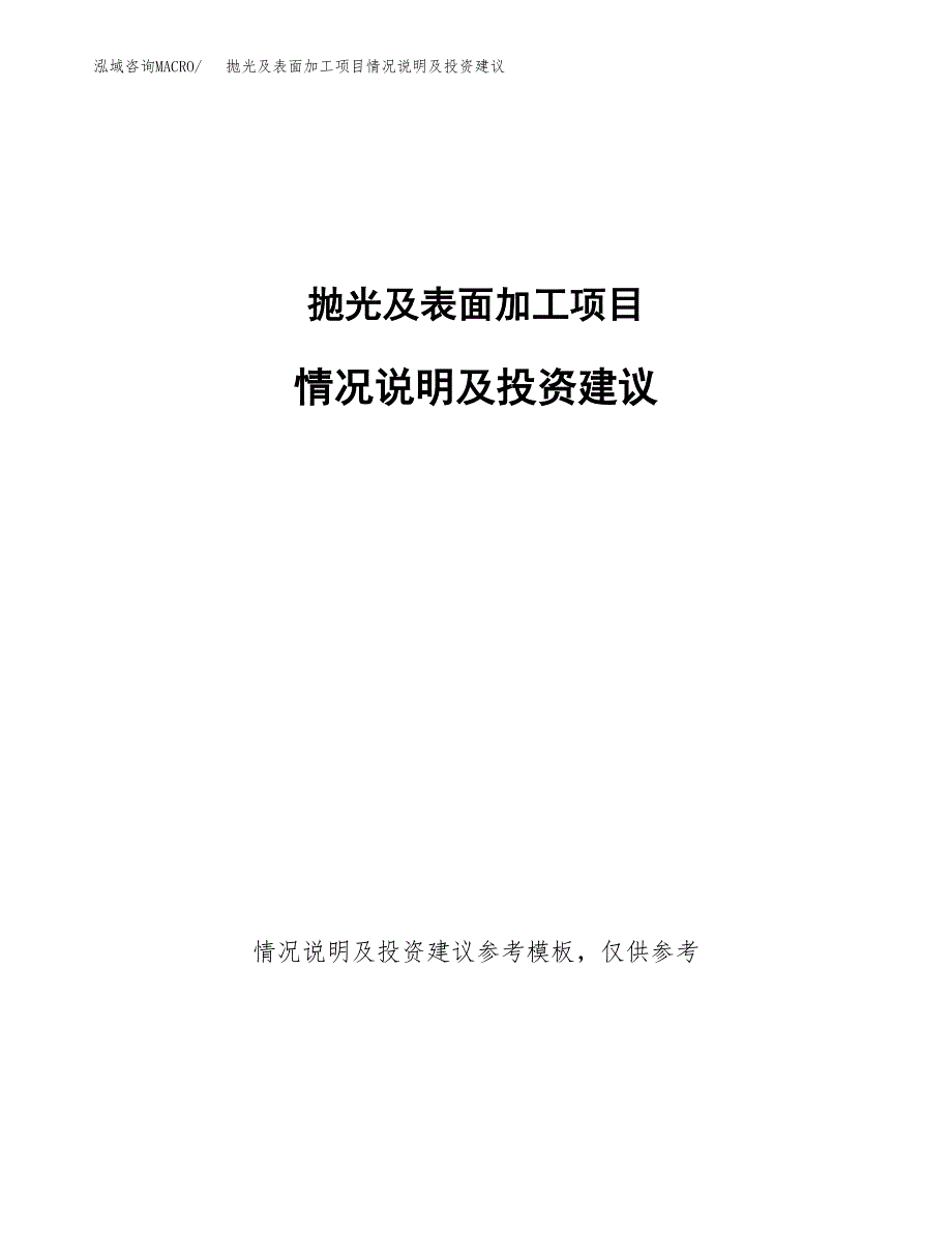 抛光及表面加工项目情况说明及投资建议.docx_第1页