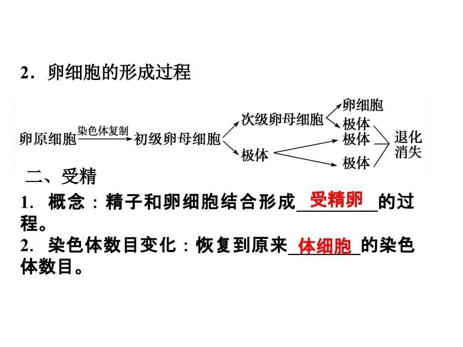 精子与卵细胞的产生和受精·减数分裂的意义_第5页