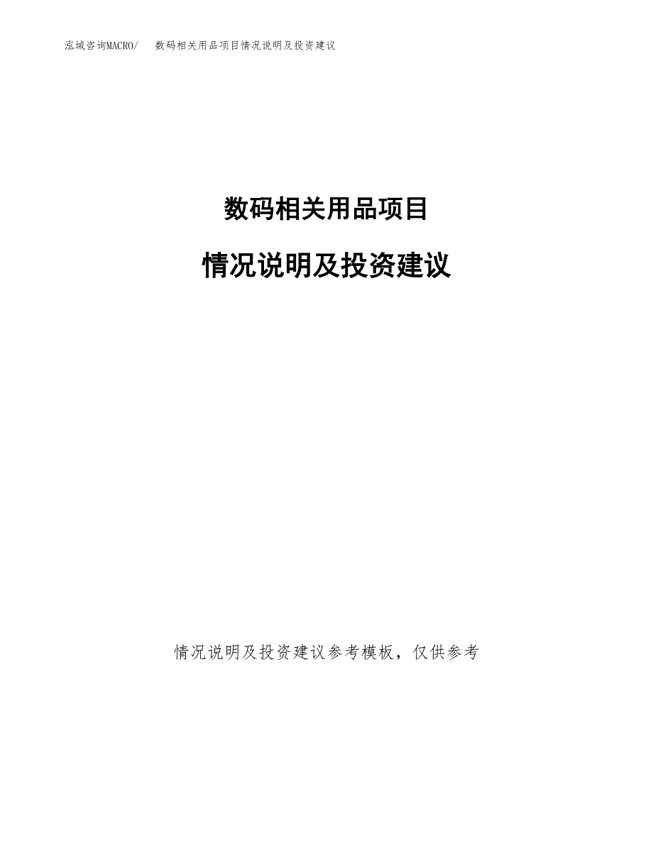 数码相关用品项目情况说明及投资建议.docx_第1页