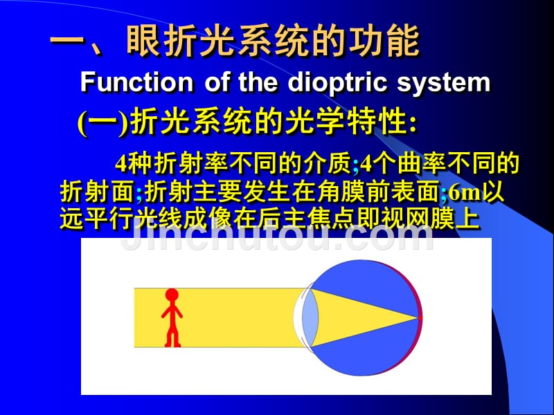 中国医科大学生理学视觉器官_第2页