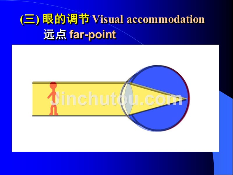 中国医科大学生理学视觉器官_第4页