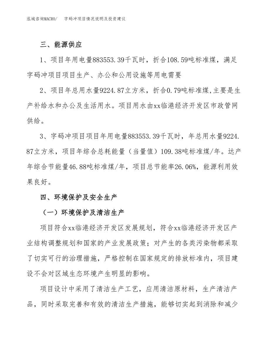 字码冲项目情况说明及投资建议.docx_第5页