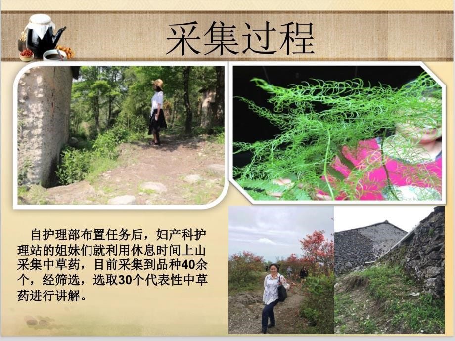 寻找庆元县身边常用的中草药_第5页