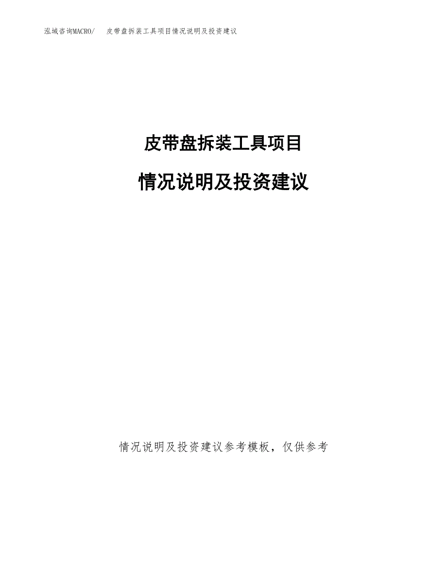 皮带盘拆装工具项目情况说明及投资建议.docx_第1页