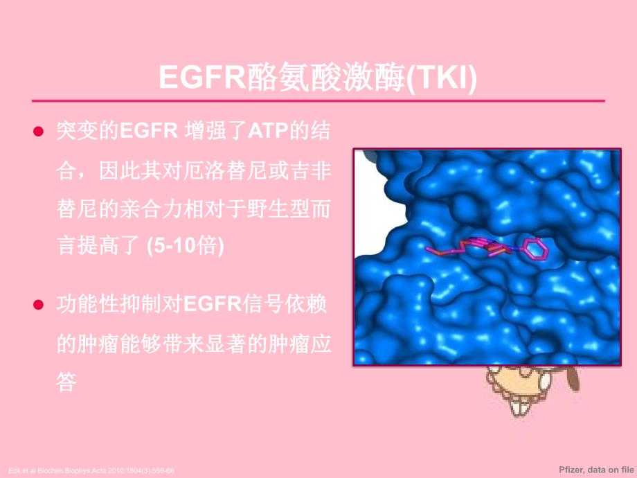 EGFRTKI在非小细胞肺癌热点问题_第3页