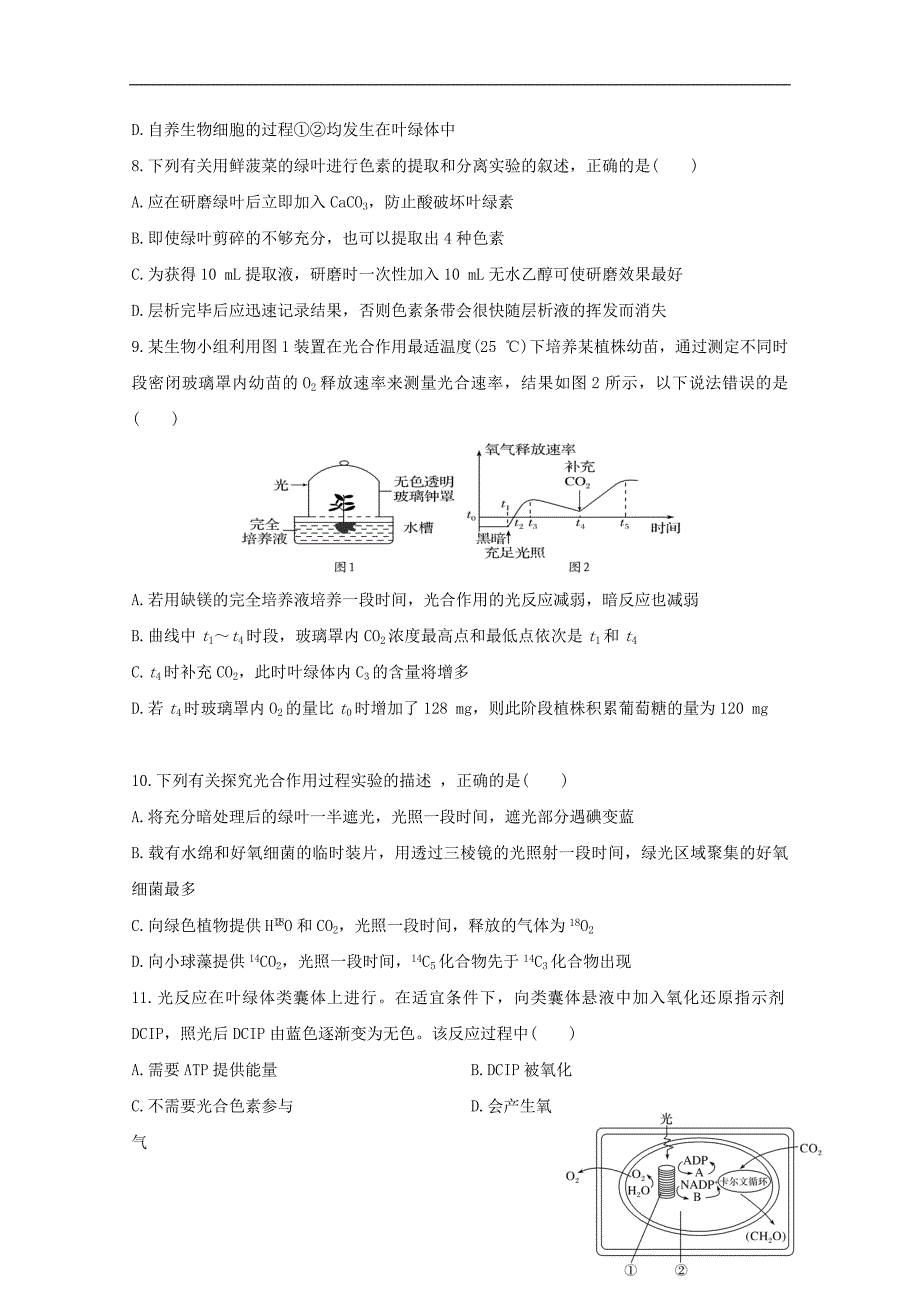 河南省鹤壁市高级中学2019_2020学年高一生物上学期第八次双周练试题_第3页