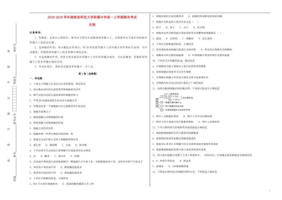 湖南省师范大学附属中学2018_2019学年高一生物上学期期末考试试卷（含解析）_第1页